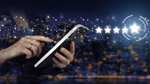 路南财产/背景调查